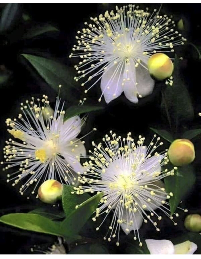 Фото Жить, как хочется