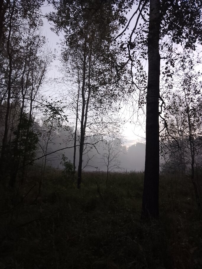 Картинки Красивеет Отеческий край