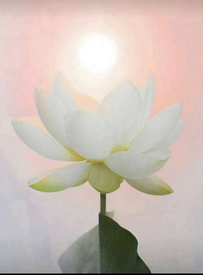 Фото Подвиг Шаварша Карапетяна