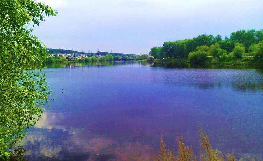 Озеро и лес Фото Дом Солнца