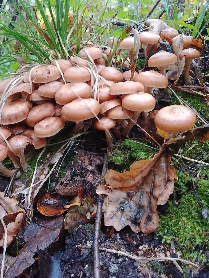 Фото про Красивеет Отеческий край