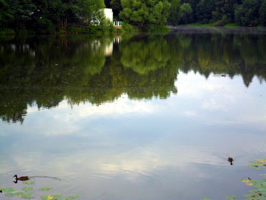 Фото По Пушкинским местам,по усадьбе Остафьево,часть-III