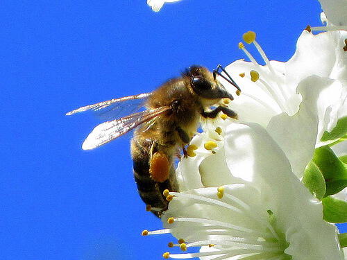 Фото С Днём Солнца!