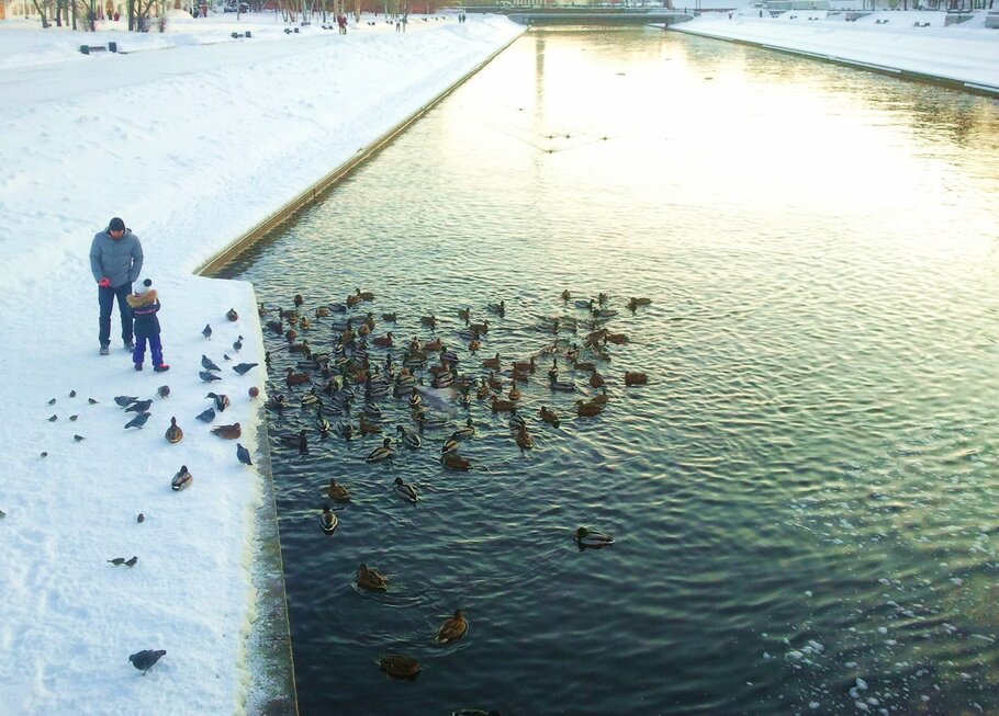 Картинки У реки