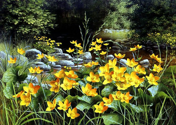 Фото У грустной реки