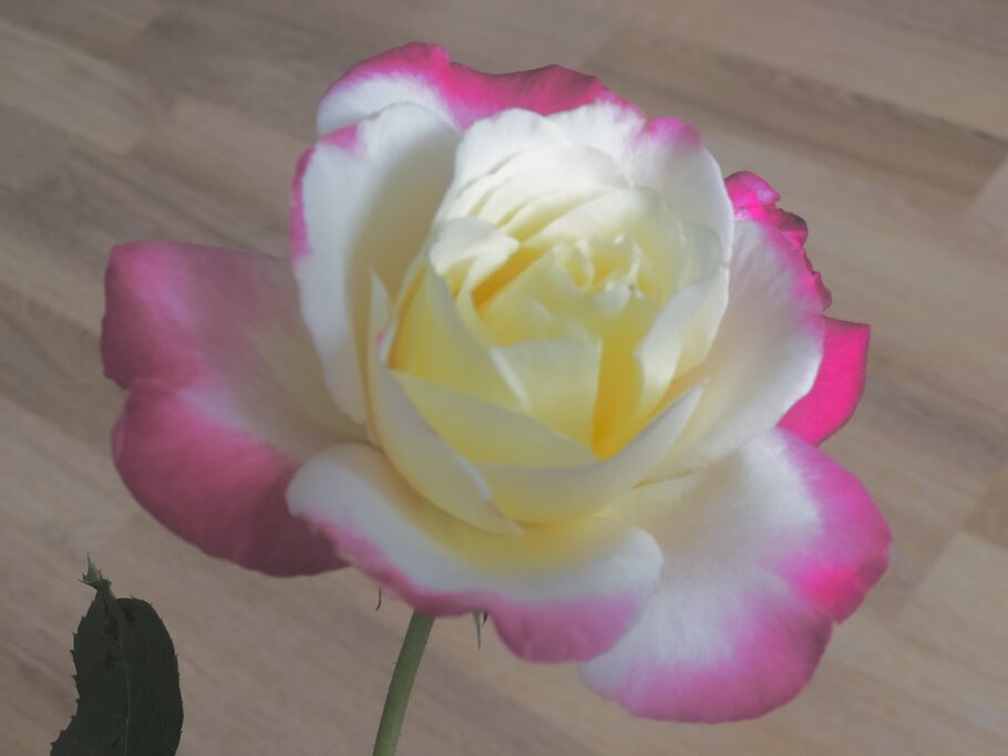 Фото Яблочный спас