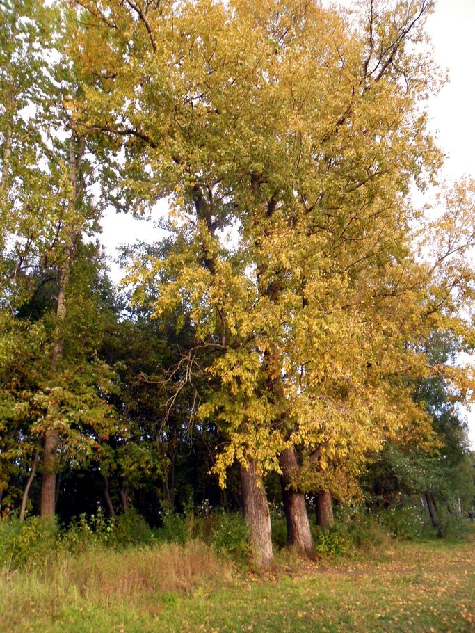 Фото Красивеет Отеческий край