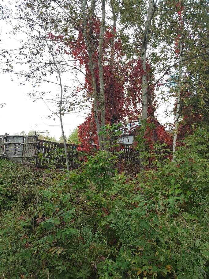 Картинки про Красивеет Отеческий край