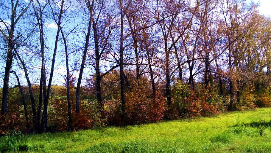 Фото Сентябрь