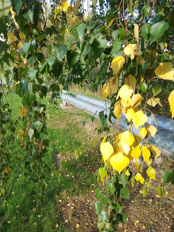 Фото Красивеет Отеческий край