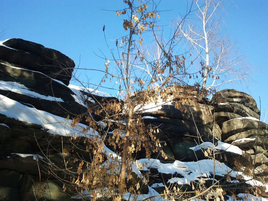 Фото По заснеженным камушкам