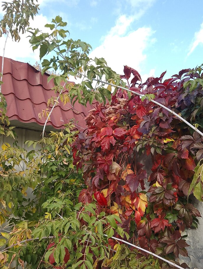 Фото про Красивеет Отеческий край