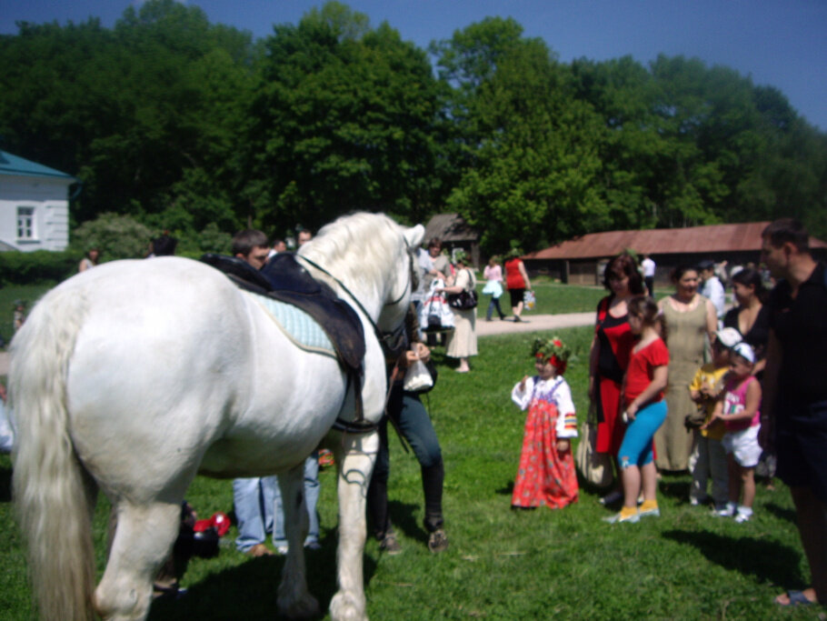 Картинки Чудь помедленней кони