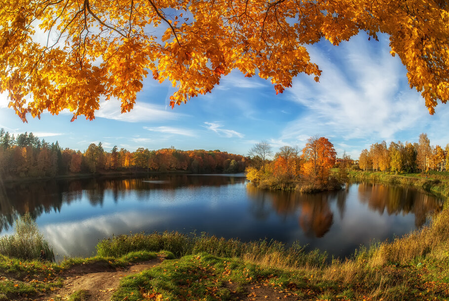 Фото Осеннее настроение