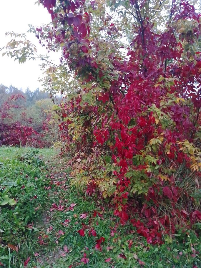 Фото Красивеет Отеческий край