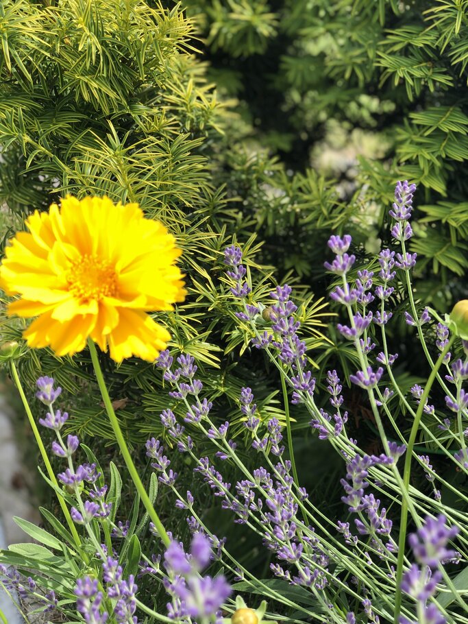 Фото А перед тем, как отправиться в Вечность