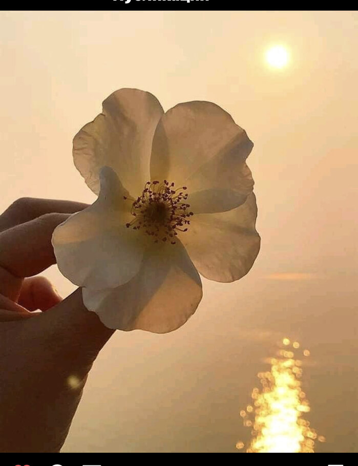 Фото Кругом весны переполох