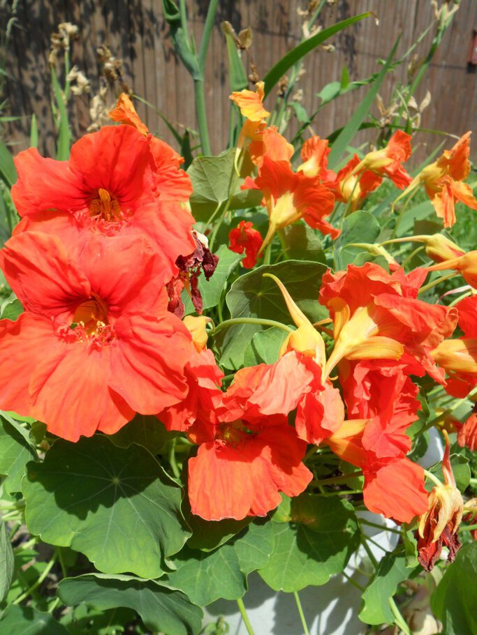 Картинки про В окружении красоты