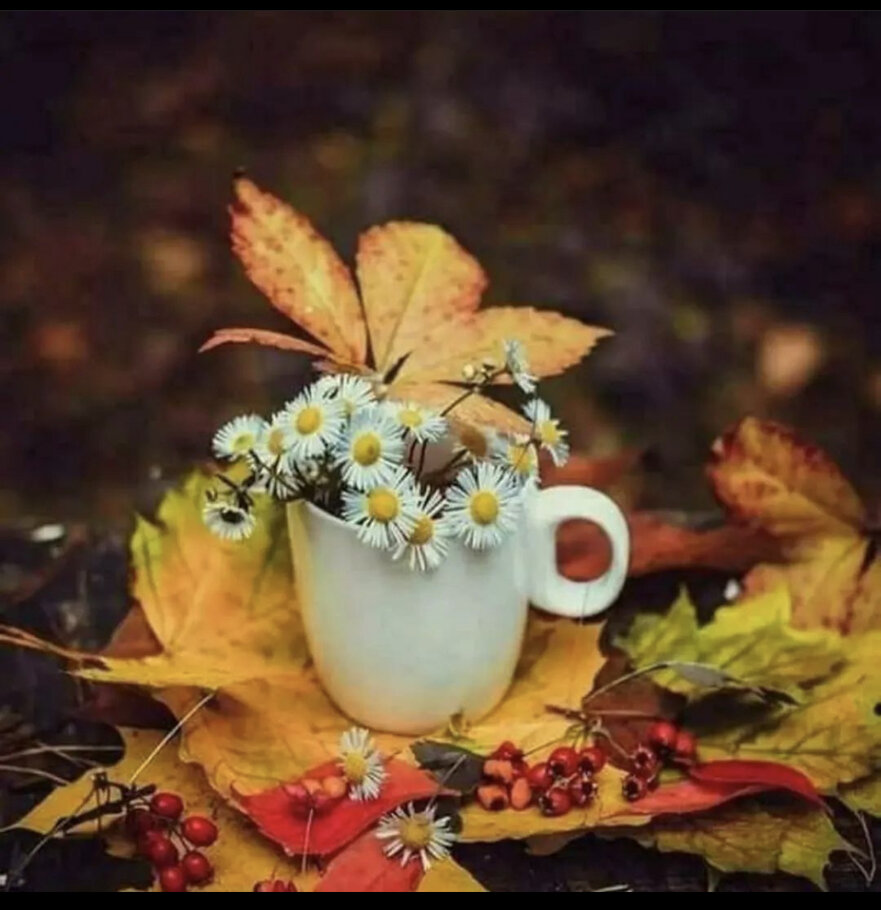 Фото Синева за окном пустеет