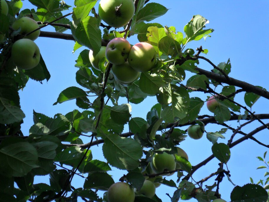 Фото Лето заметно стремится на убыль,проводы красного лета