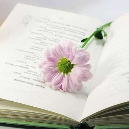 Фото Обновление