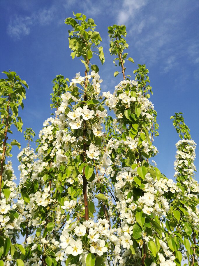 Картинки про Обновление