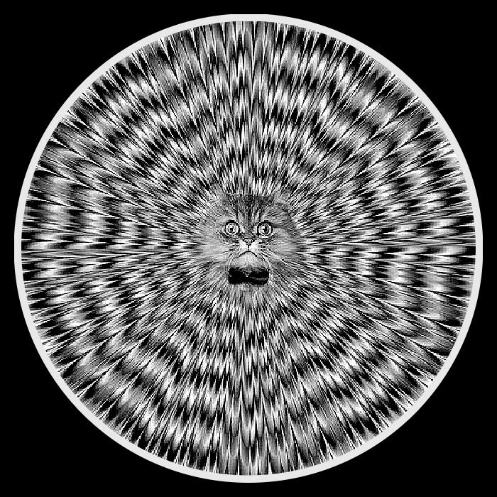 Картинки Философия жизни