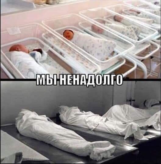 Фото Чем сердце успокоится