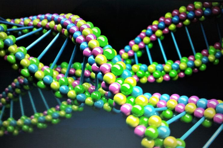 Фото Спящие гены