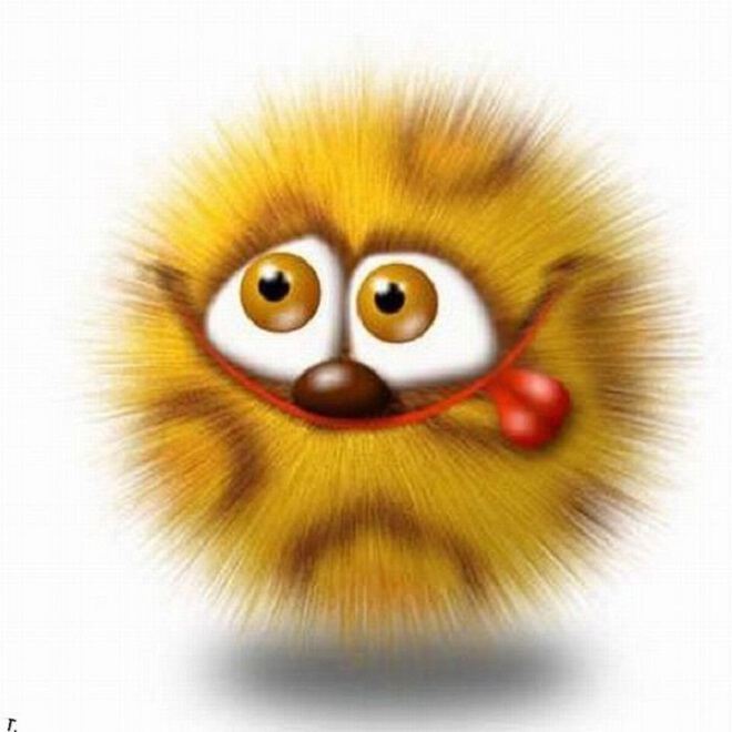 Фото Россия, посмотрись в своё зеркало!