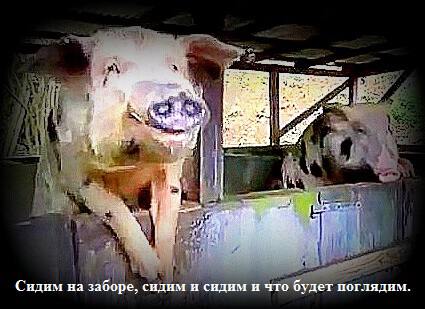 Фото про Философия жизни