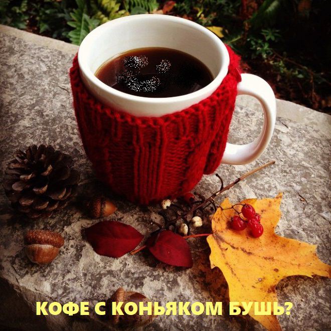 Фото про Причины идеологических противоречий