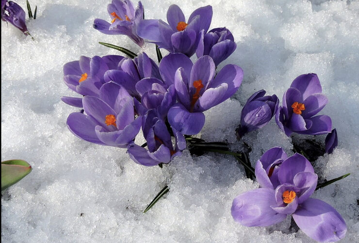 Фото Основатель модного дома Kenzo, Кензо Токадо