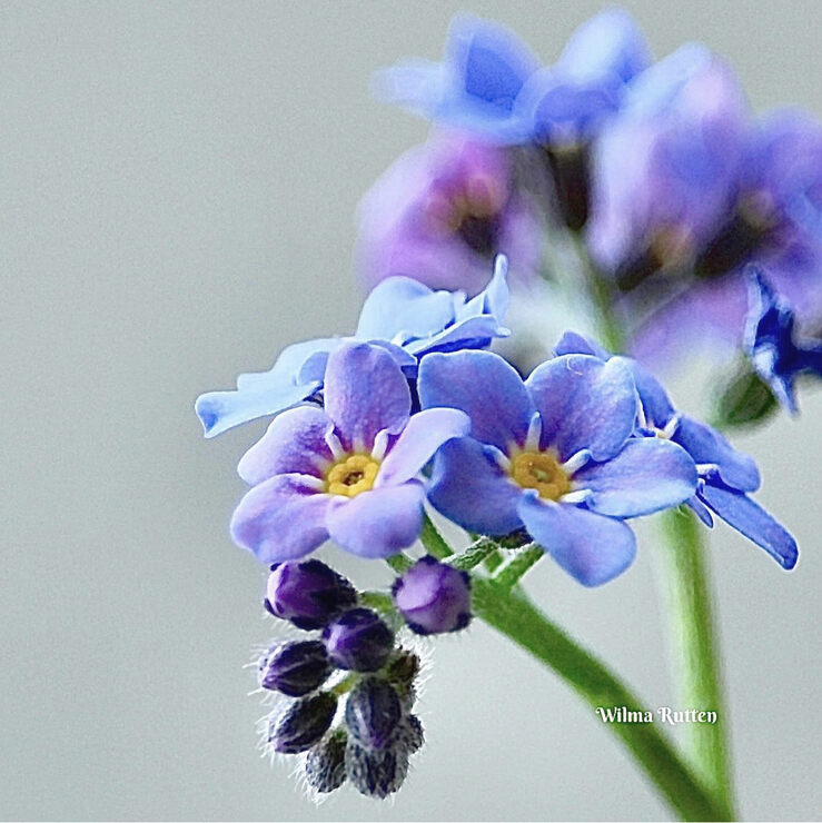 Фото Женственность!