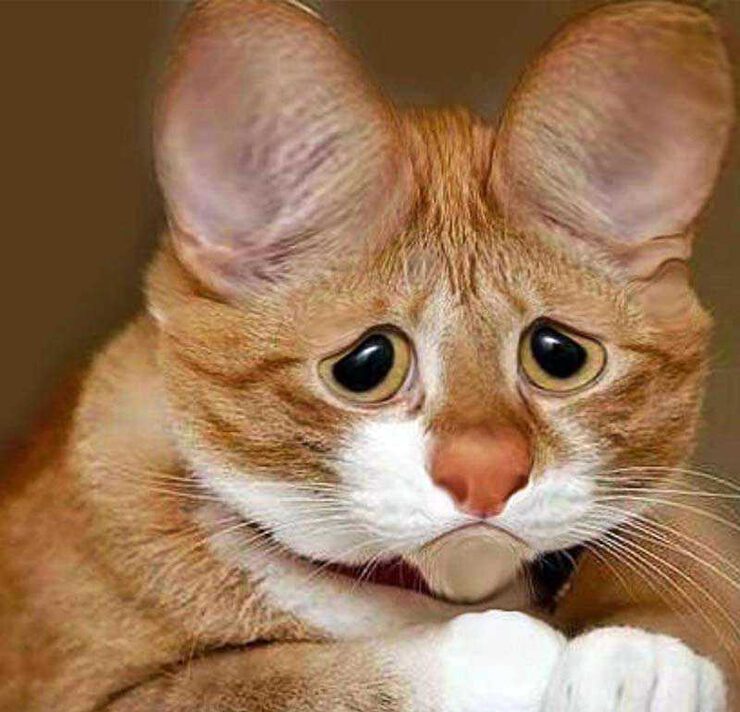 Фото Демон бродит по Европе - демон оккультизма