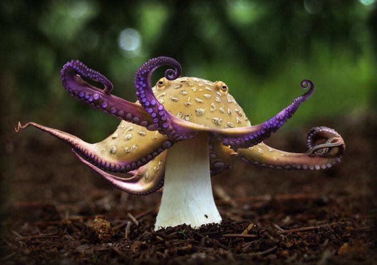 Картинки про Тайна светящихся людей