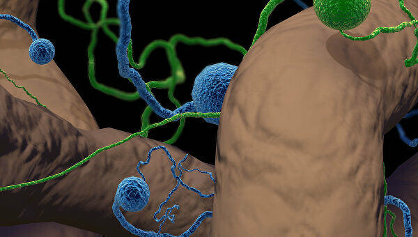 Картинки про Тайна светящихся людей