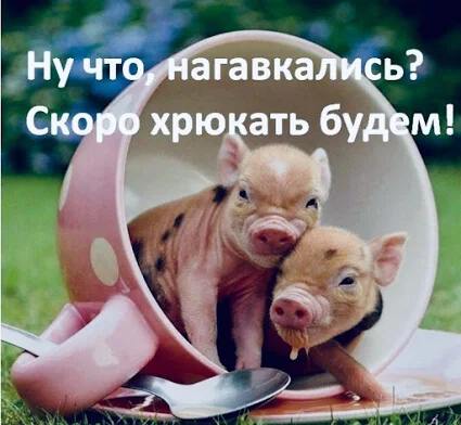 Картинки про Законодательство от Бога