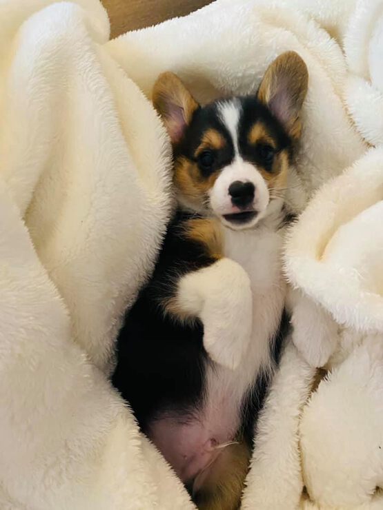 Фото Чем полезно умение играть на музыкальных инструментах?