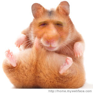 Фото Полезные советы от знахарей