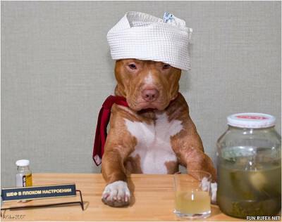 Фото про В свете законов мироздания