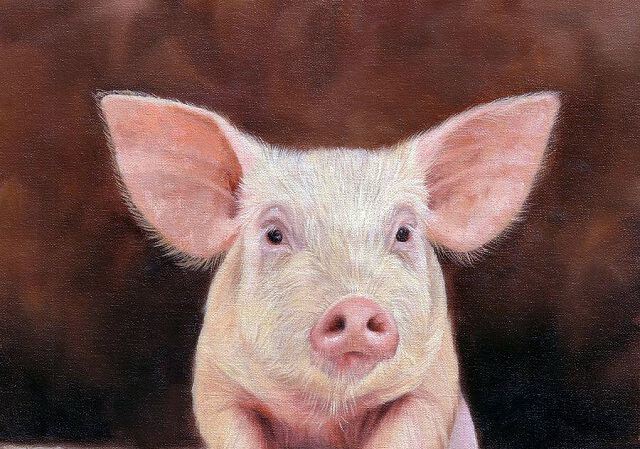 Фото Доля шутки в матанализе законности