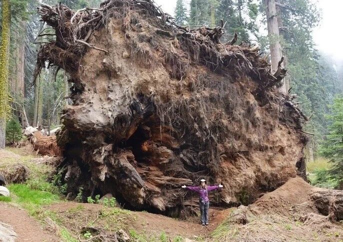 Картинки Математическая реальность