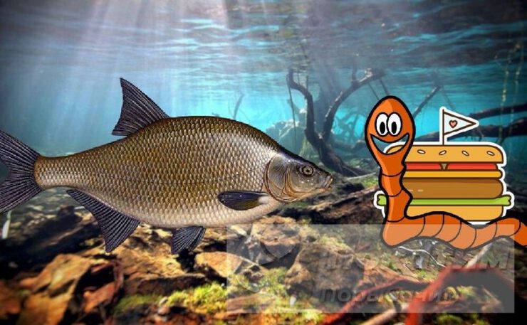 Картинки Почему человек оказывается бедным?