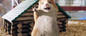 Картинки про Кто извратил эволюцию человека и направил её по ложному пути