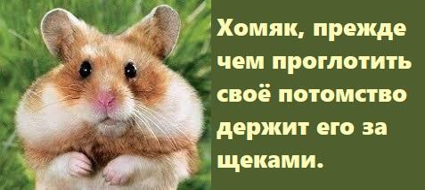 Фото Кто извратил эволюцию человека и направил её по ложному пути