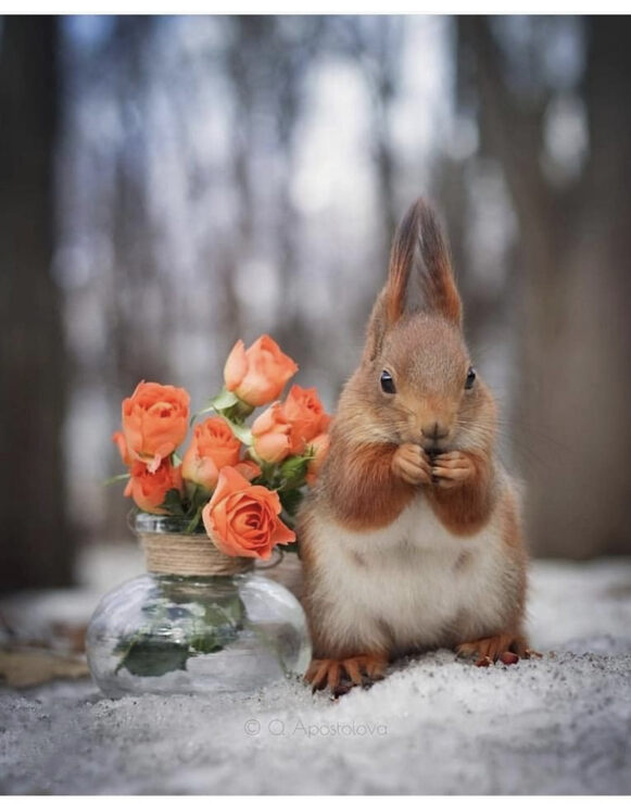 Картинки Из истории блинов