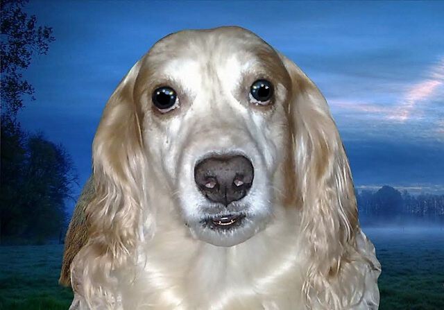 Картинки Буква Ё