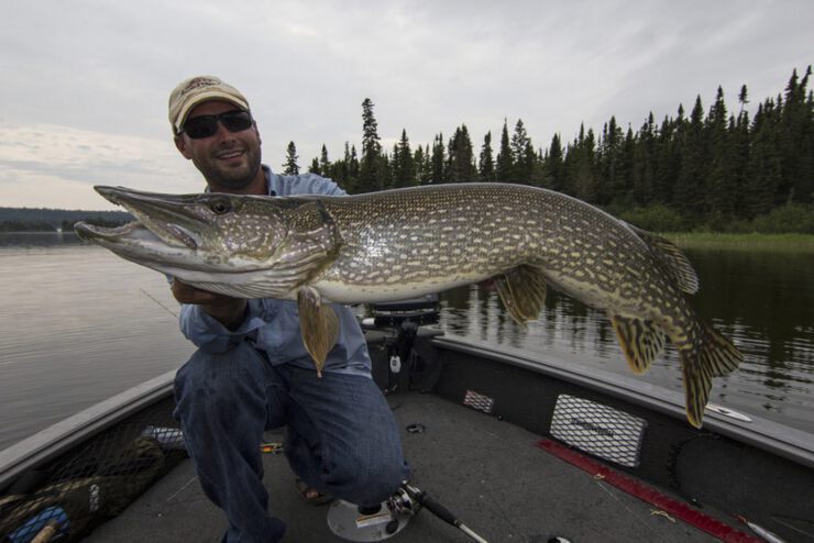 Фото про Законодательство от Бога