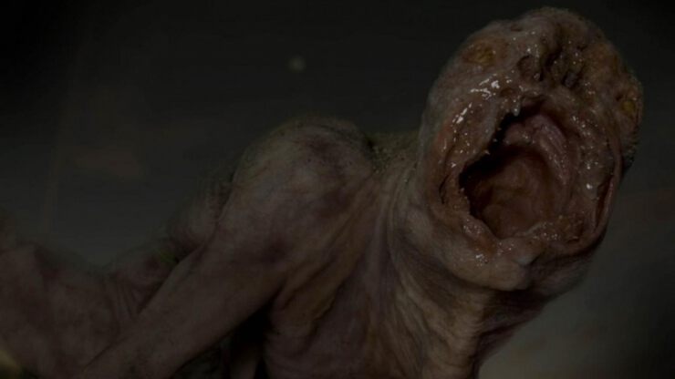 Фото Что такое лярва и как от нее избавиться